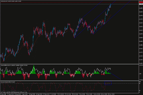 nzd.gif‏