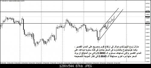     

:	nzdusd bpt team and 4xtweet.jpg
:	82
:	87.4 
:	452787