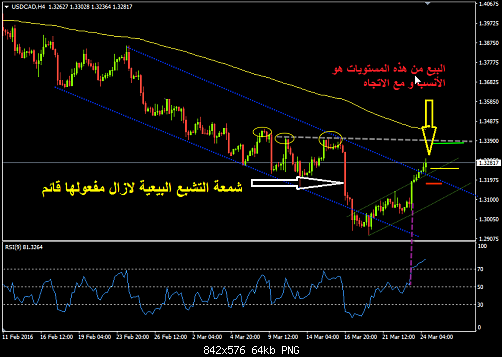     

:	usdcad.png
:	22
:	64.1 
:	454346