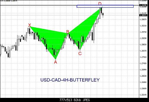     

:	USD-CAD-4H-BUTTERFLEY.JPG
:	20
:	81.8 
:	456689