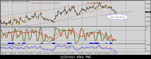     

:	nzdusd.png
:	62
:	48.9 
:	462772