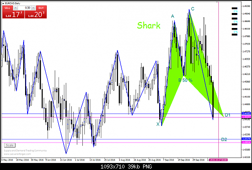     

:	eur cad shark daily.png
:	17
:	39.3 
:	462793