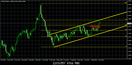     

:	usdcad-w1-.png
:	22
:	47.2 
:	468117