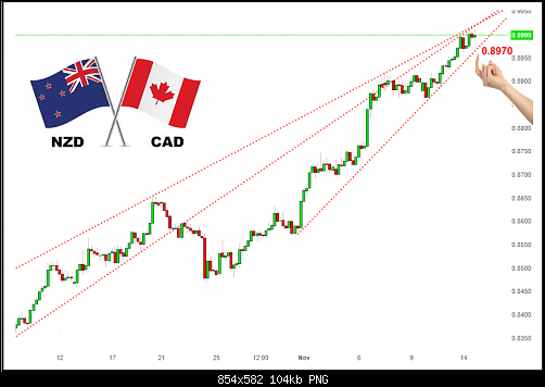     

:	nzdcadfain9.png
:	10
:	103.9 
:	503977