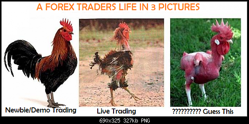     

:	A-Forex-Traders-Life-In-3-Pictures.png
:	1
:	327.2 
:	519208