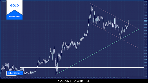     

:	gold-daily-2.png
:	45
:	263.6 
:	532500