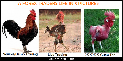 A-Forex-Traders-Life-In-3-Pictures.png‏