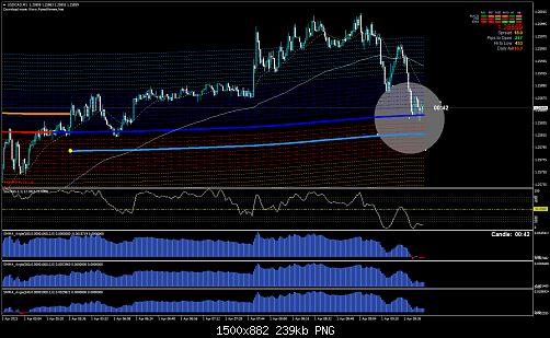 USDCADM1.jpg‏