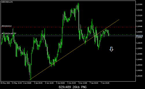     

:	USDCADmmH1.png
:	9
:	25.7 
:	536569