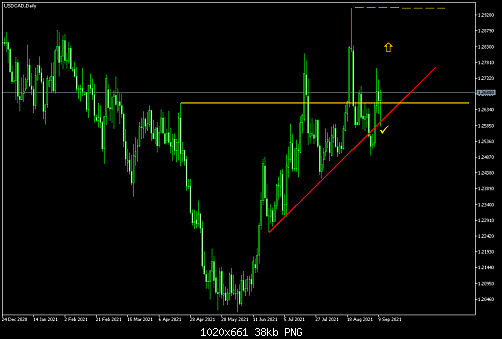     

:	USDCADDaily.png
:	35
:	38.1 
:	539241