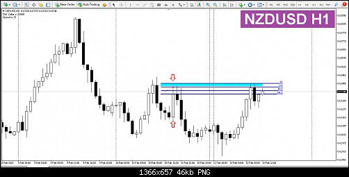 NZDUSD_H1.png‏