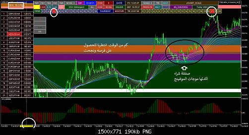 nzdusdm-m1-xm-global-limited.jpg‏