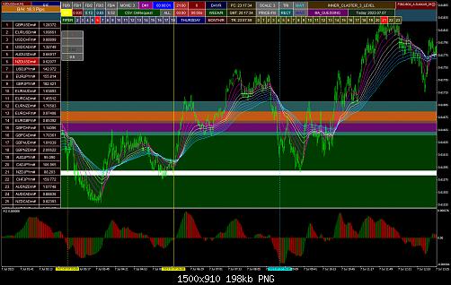 nzdusdm-m1-xm-global-limited (1).jpg‏