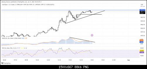     

:	XAUUSD_2023-07-31_18-03-50.jpg
:	8
:	87.5 
:	554610