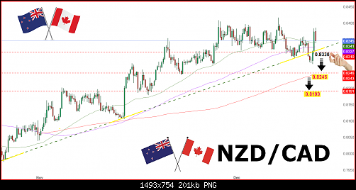     

:	nzdcadlass.png
:	10
:	201.0 
:	556442