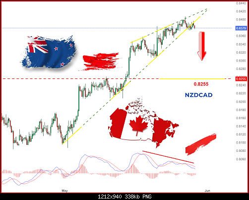     

:	nzdcad9.png
:	5
:	337.7 
:	559110