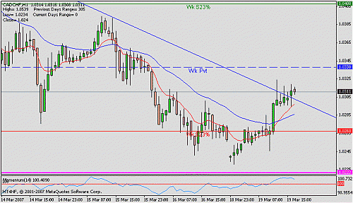 cad chf 1h t 2.gif‏