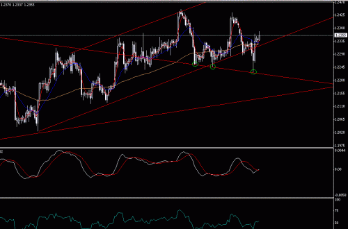 EURUSD 13.GIF‏