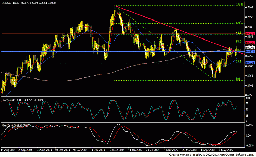 eurgbp d may29-2005.GIF‏