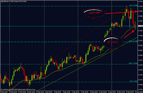 nzd.gif‏