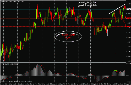 euraud h1.gif‏