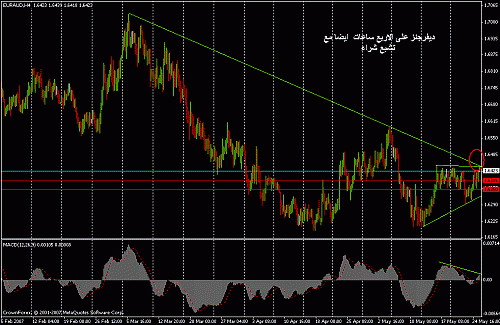 euraud h4.gif‏