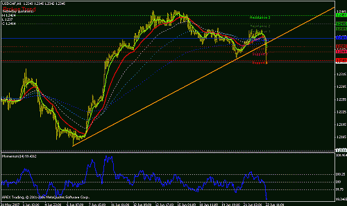 usdchf-h1.gif‏