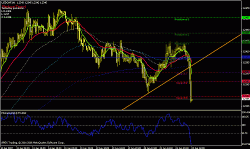 usdchf-h1-larg.gif‏