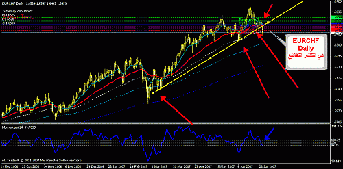 eurchf daily.gif‏