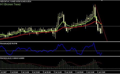 nzdchf h1.JPG‏