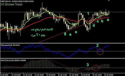 nzdcadh1.JPG‏