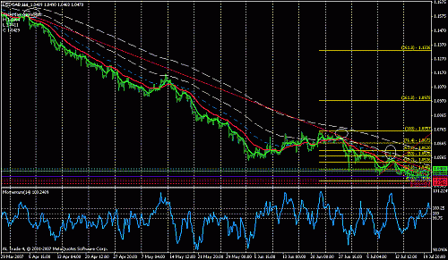 usdcad 1.gif‏