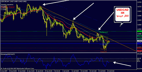 usd cad 4h.gif‏