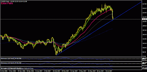 cadjpy.gif‏