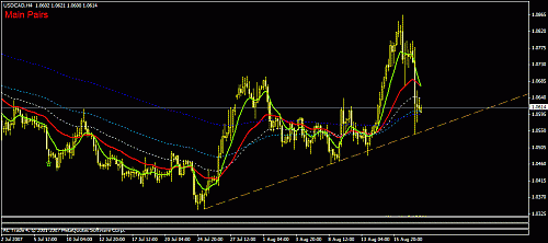 usd csd.gif‏