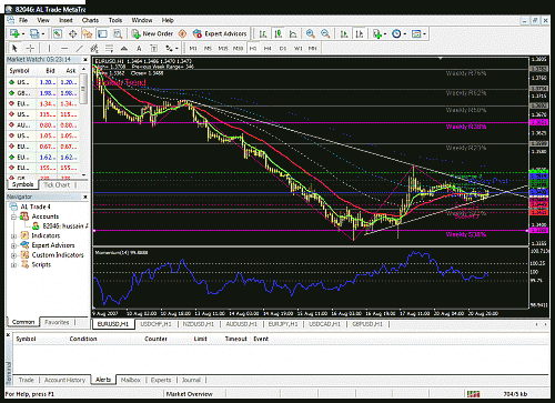 eurusd1 motabat1.gif‏