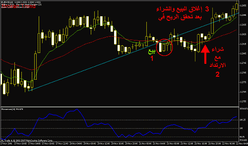 eurusd 1.gif‏