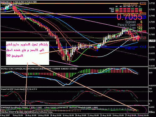 nzdusd.gif‏