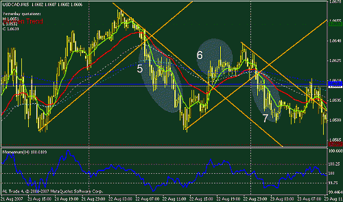 usdcad5-6-7.gif‏