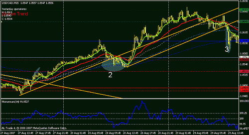 usdcad2-3.gif‏