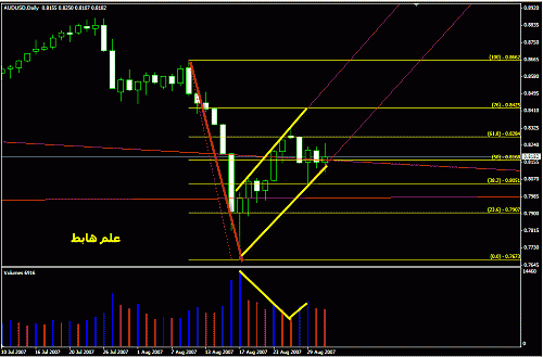 aud f. dwt.gif‏