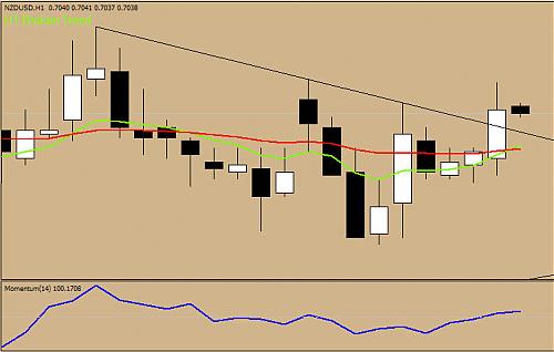 NZD1.jpg‏