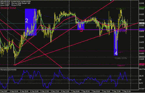 nzdusd2-3-4.GIF‏