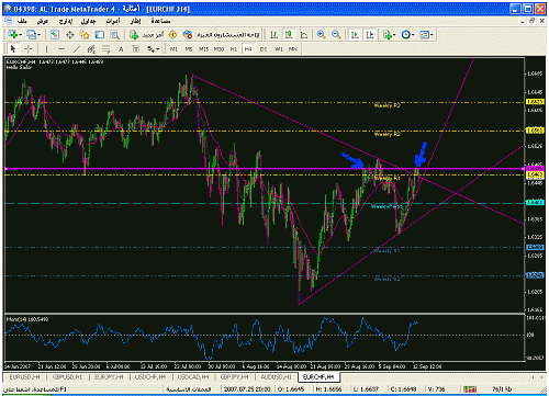 ero chf h4.gif‏