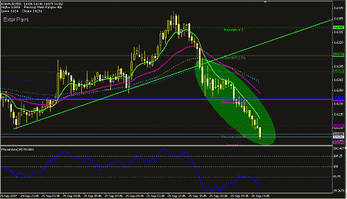 euraud.GIF‏