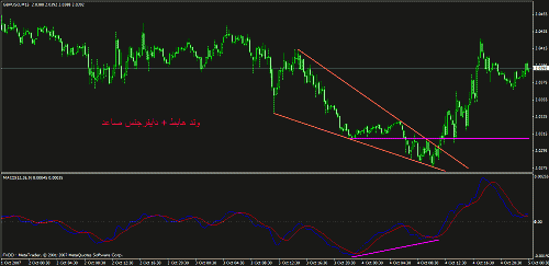 eudusd111.gif‏