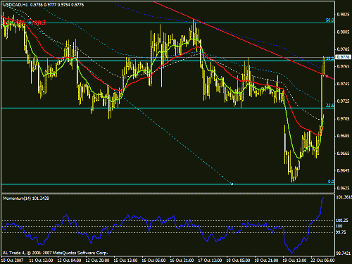 usdcad11.gif‏