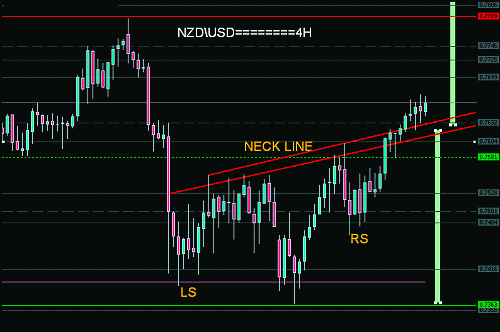 nzd+++.gif‏