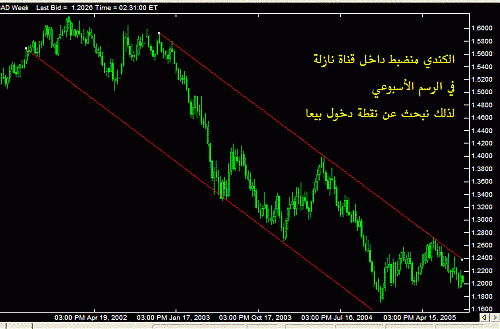 USD CAD 23 8 2005.GIF‏