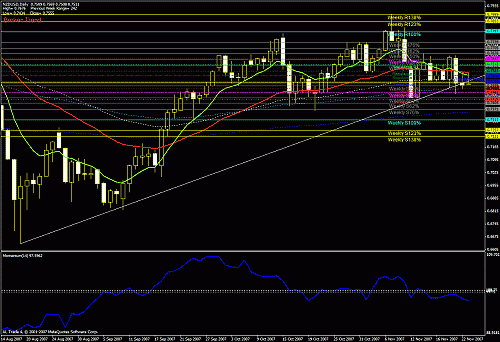 nzd usd daily 23 11 2007.gif‏